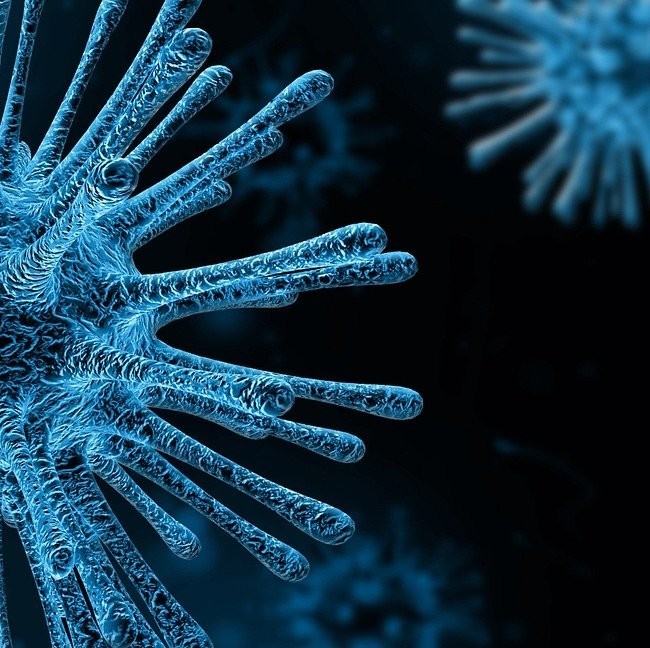Coronavirus